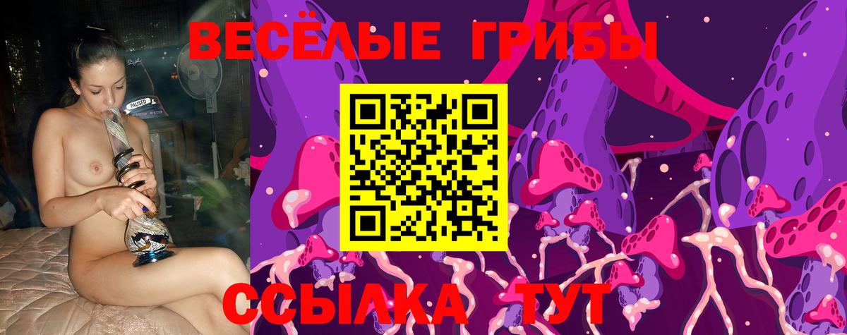 Псилоцибиновые грибы Psilocybe Пенза